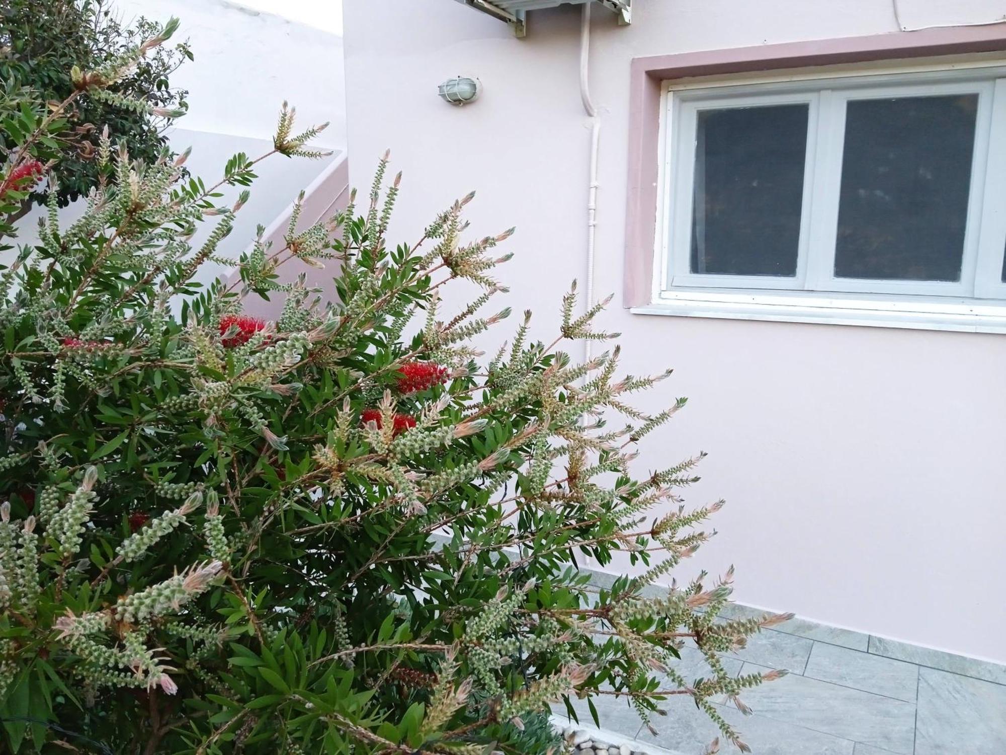 Andros Lighthouse Apartments Mesaria  Экстерьер фото